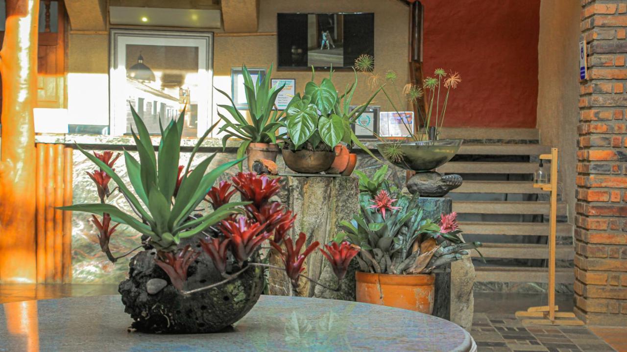 Hotel Terra Barichara Villanueva  Екстер'єр фото